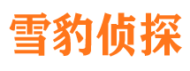 平房市私人调查